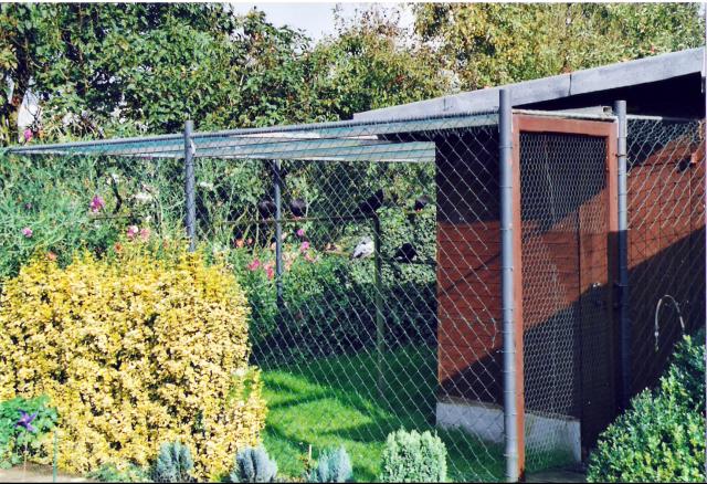 Zuchtanlage Meik Kröger