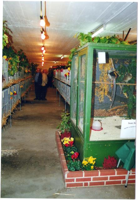 Ortsschau RGZV Rahden-Kleinendorf