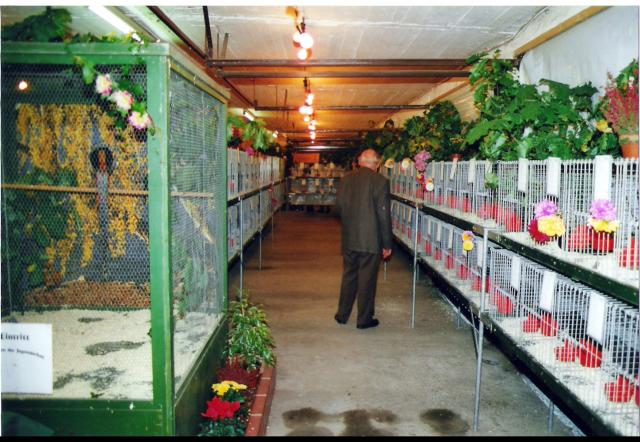 Ortsschau RGZV Rahden-Kleinendorf