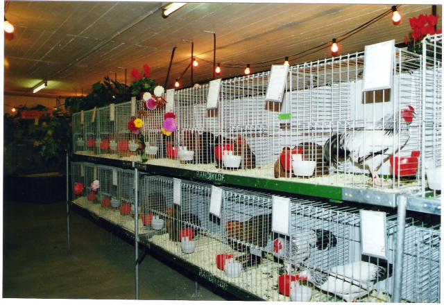 Ortsschau RGZV Rahden-Kleinendorf