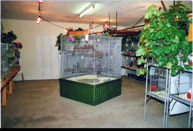 Ortsschau RGZV Rahden-Kleinendorf