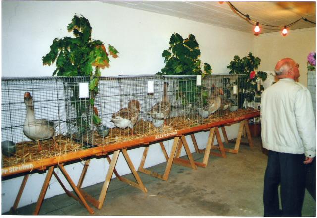 Ortsschau RGZV Rahden-Kleinendorf