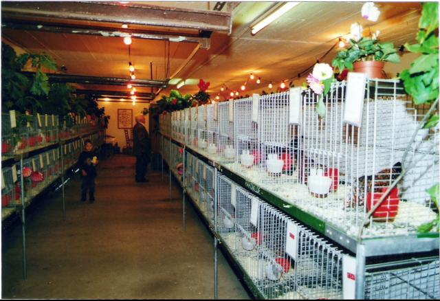 Ortsschau RGZV Rahden-Kleinendorf