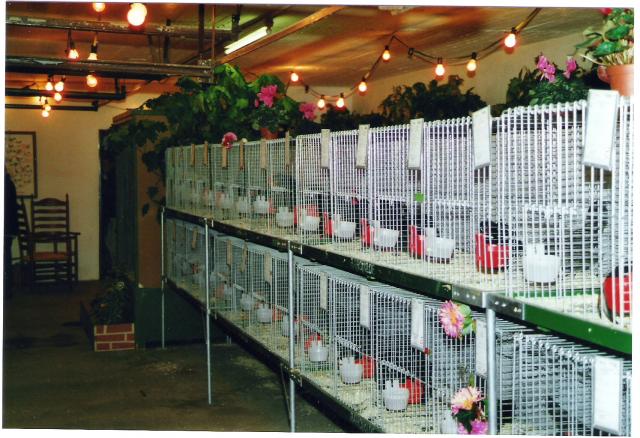 Ortsschau RGZV Rahden-Kleinendorf