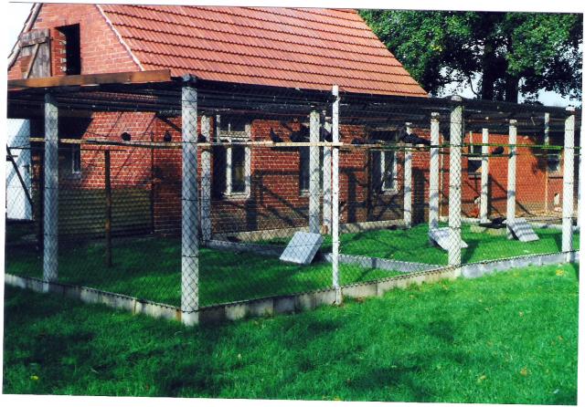 Voliere Kölner Tümmler, Züchter Wolfgang Meier