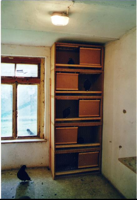 Zuchtanlage Wolfgang Meier