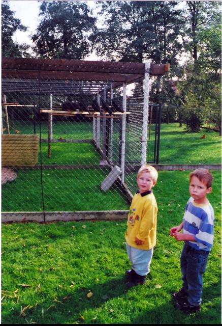 Jungzüchter Henrik und Sören Meier